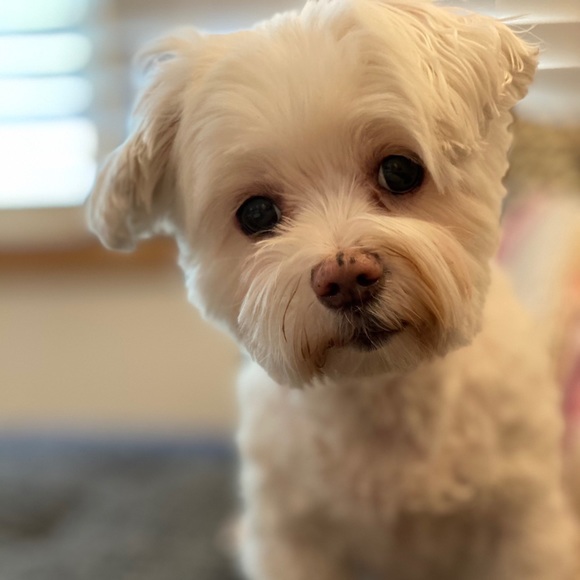 Meet your Posher, Megan - Picture 3 of 3